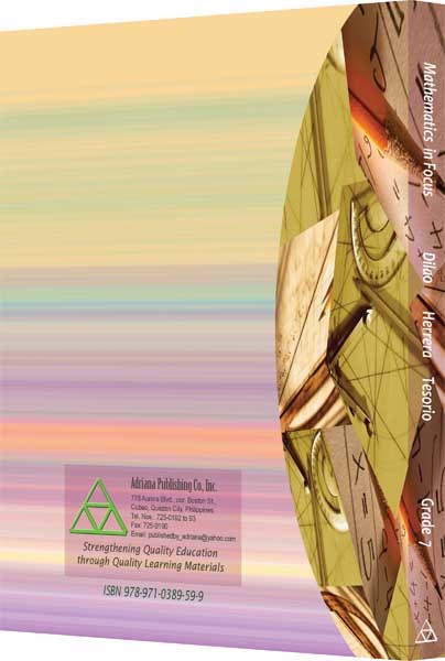 Mathematics in Focus 8